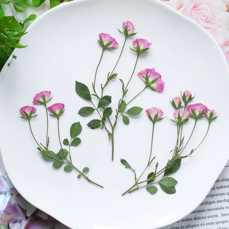12 adet, Mini Pembe Gül Presle - Holiday Candle Set incelemesi ve fiyatı